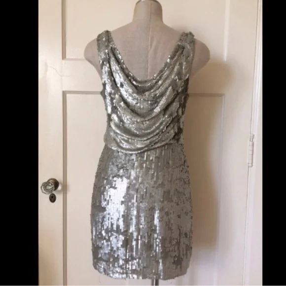 Parker Champagne sequin dress - Picture 2 of 6